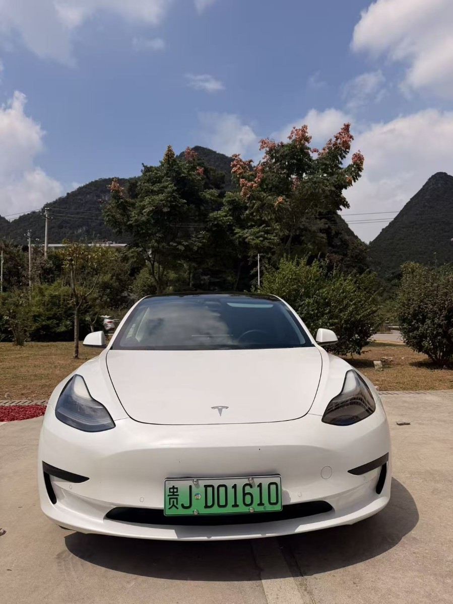 Tesla Model 3 2021 imagem de carro 