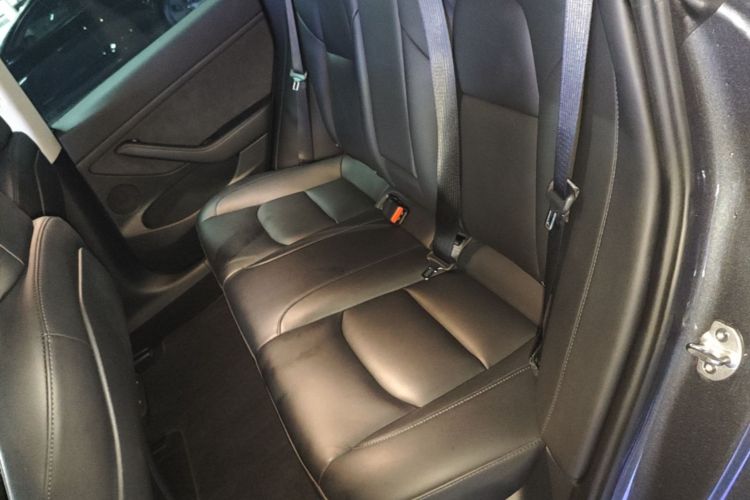Tesla Model 3 2021 car image #13