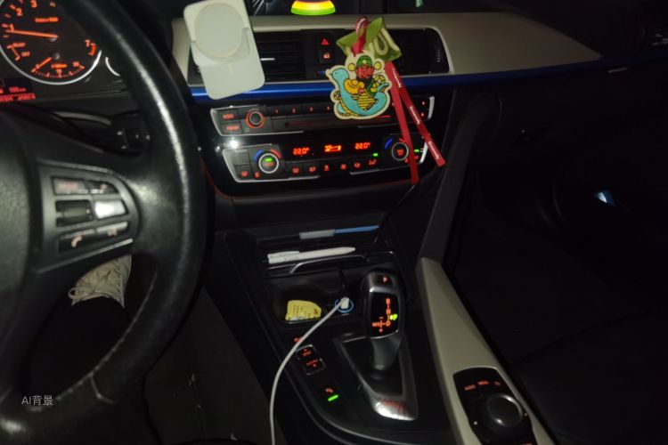 BMW 3 Series 2016 car image #15