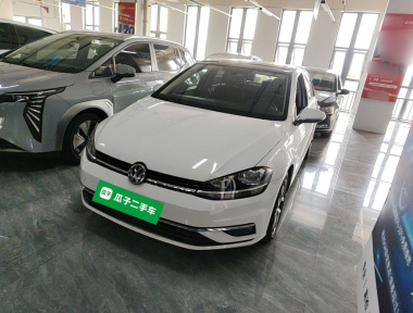 Volkswagen Golf 2020 Volkswagen Golf 2020 car image