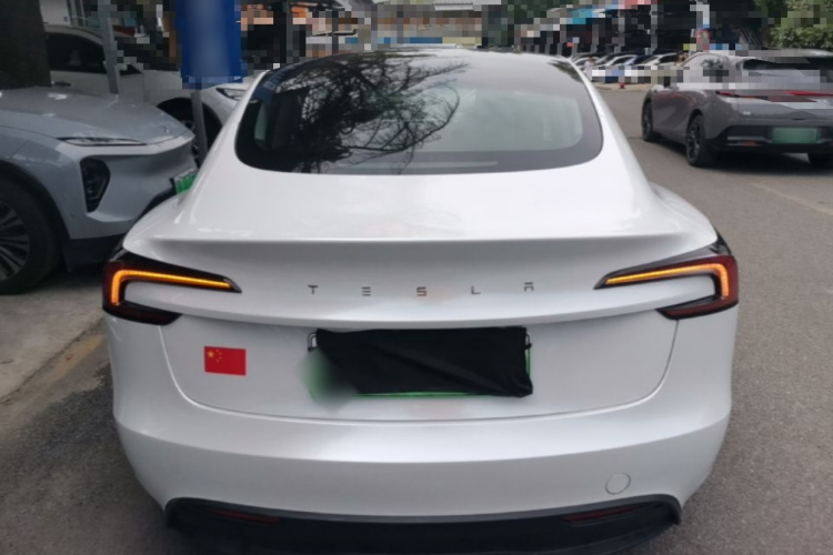 Tesla Model 3 2023 #6 Tesla Model 3 2023 car image #6