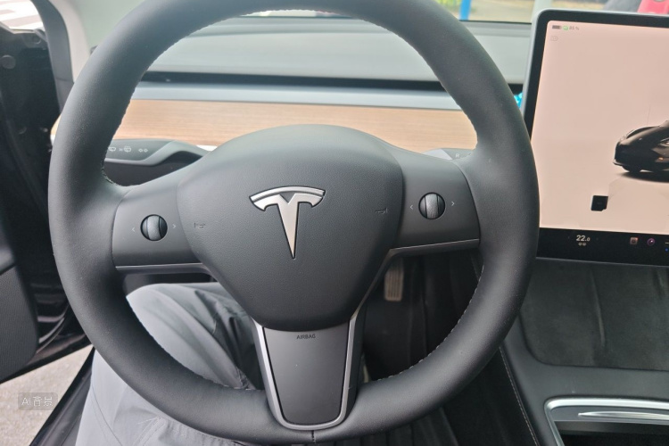 Tesla Model 3 2022 immagine di auto #12
