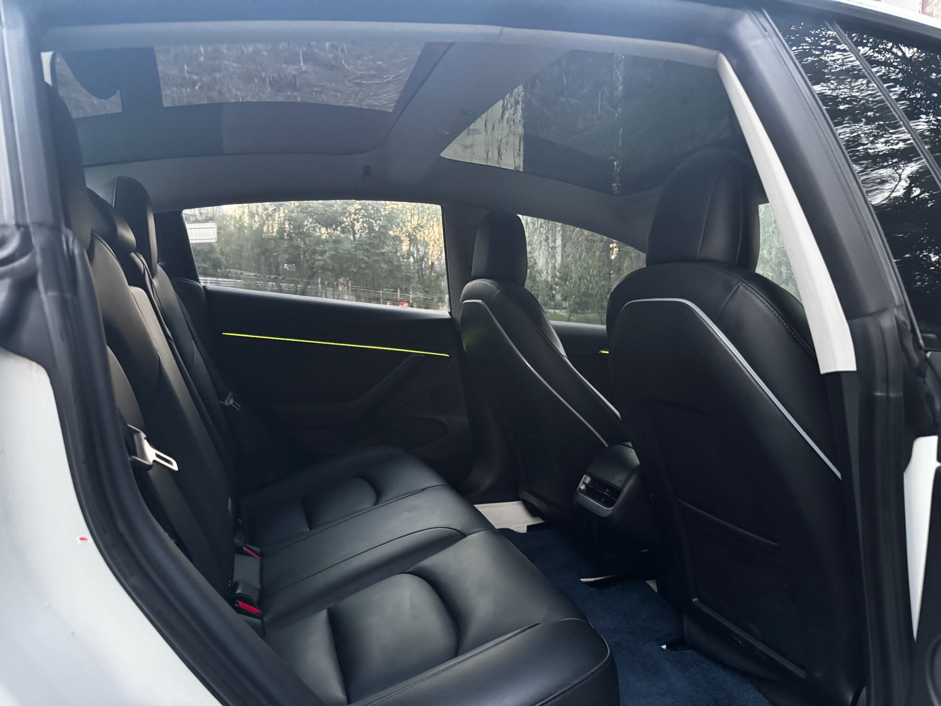 Tesla Model 3 2021 car image #11