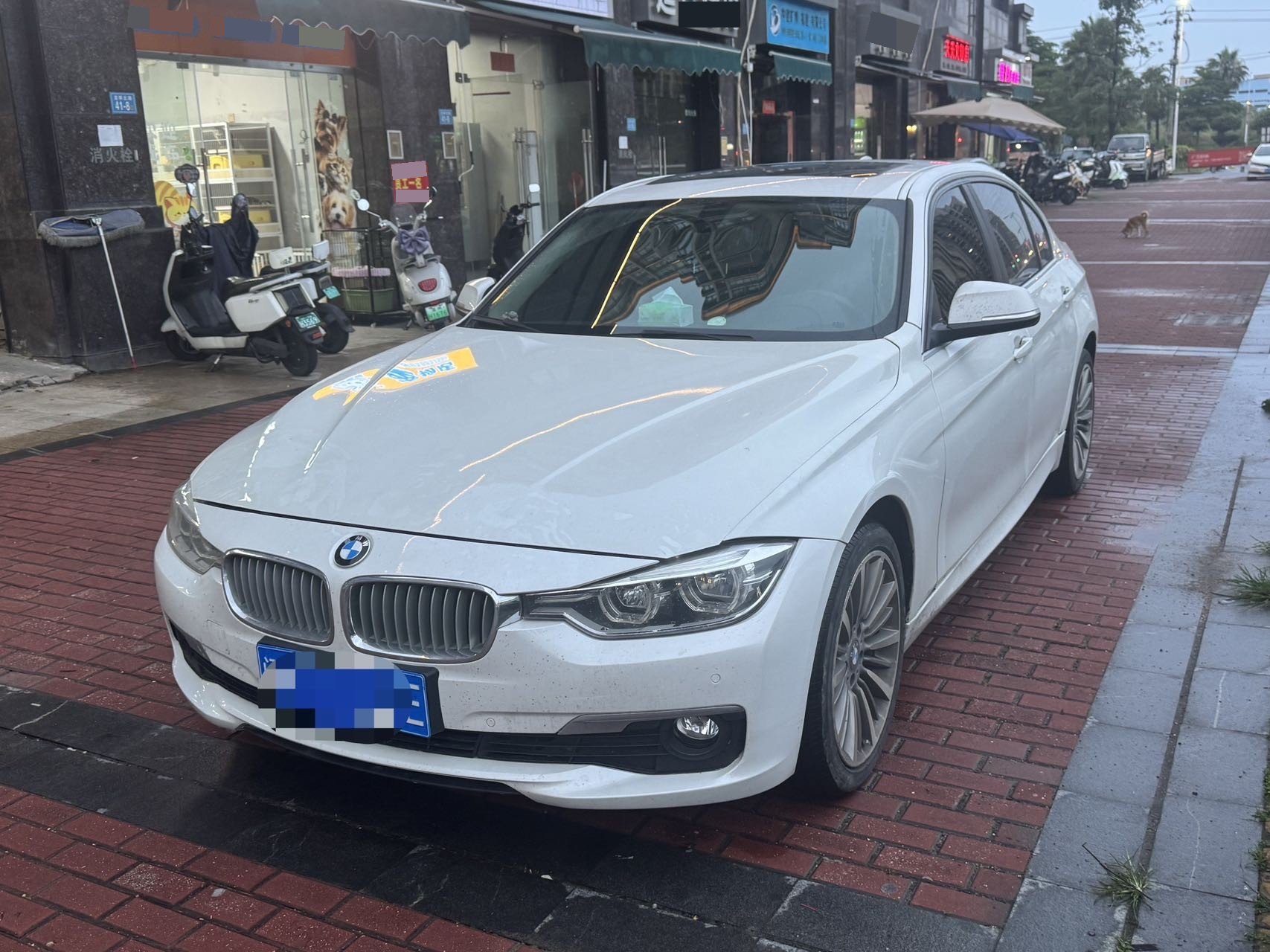 BMW 3 Series 2019 BMW 3 Series 2019 car image