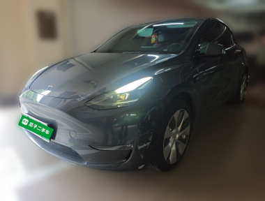 Tesla Model Y 2022 Tesla Model Y 2022 car image