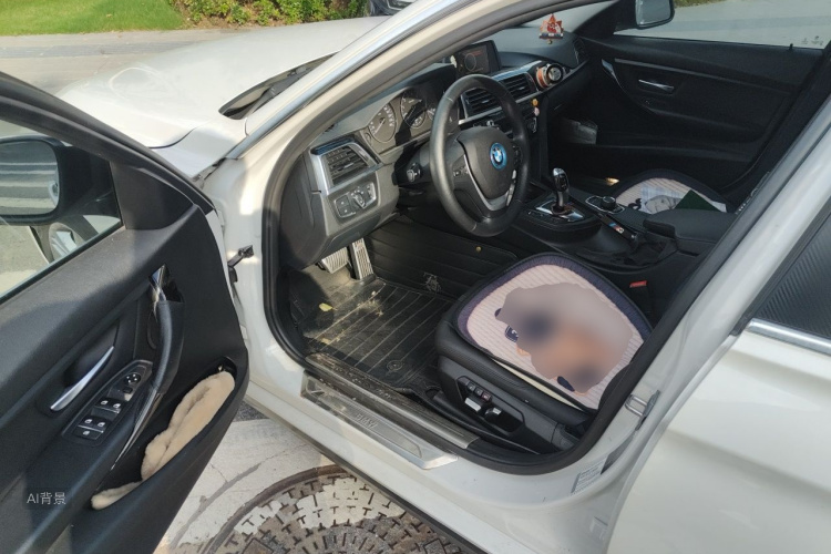 BMW 3 Series 2016 #18 BMW 3 Series 2016 car image #18