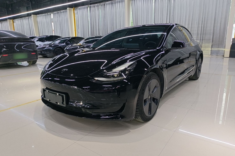 Tesla Model 3 2021 car image #2