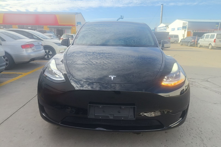 Tesla Model Y 2023 immagine di auto #3