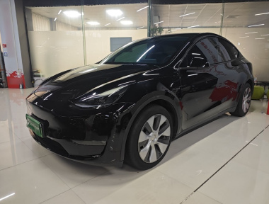 Tesla Model Y 2021 immagine di auto 