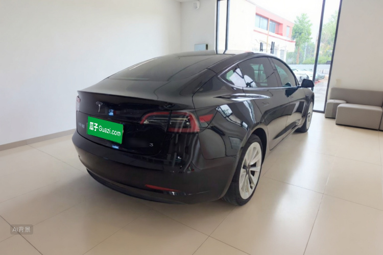 Tesla Model 3 2023 car image #7