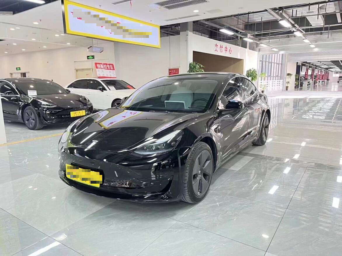 Tesla Model 3 2023 #2 Tesla Model 3 2023 car image #2