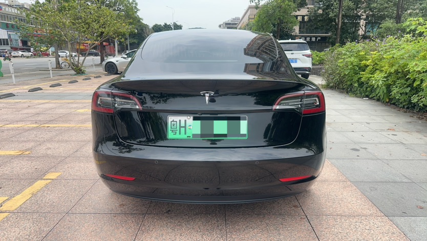 Tesla Model 3 2020 car image #5