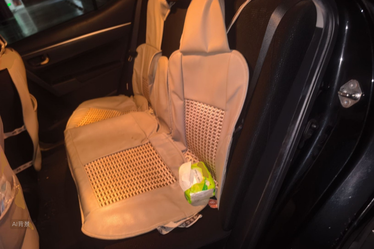 Toyota Corolla 2016 car image #19