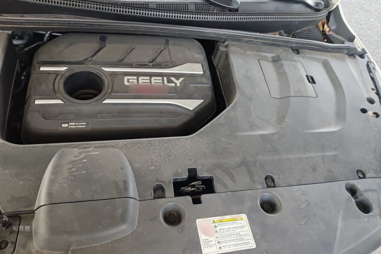 GEELY Emgrand GS 2020 car image #22