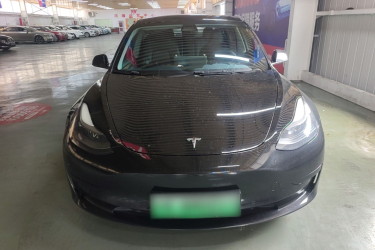 Tesla Model 3 2021 #3 Tesla Model 3 2021 car image #3