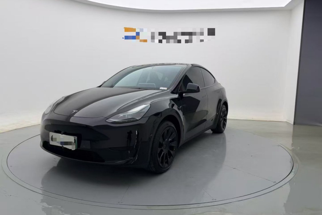 Tesla Model Y 2023 car image 