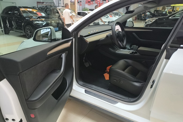 Tesla Model Y 2023 car image #16
