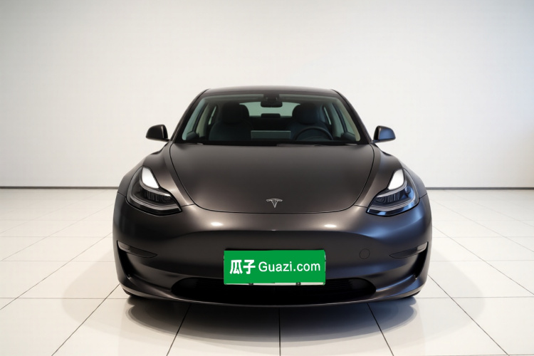 Tesla Model 3 2021 #3 Tesla Model 3 2021 car image #3