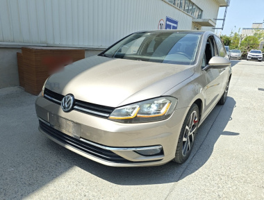 Volkswagen Golf 2019 Volkswagen Golf 2019 car image