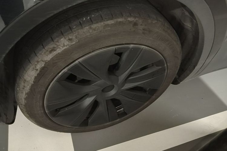 Tesla Model Y 2024 #9 Tesla Model Y 2024 car image #9