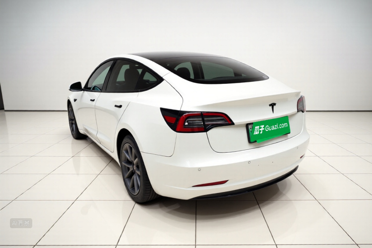 Tesla Model 3 2021 #5 Tesla Model 3 2021 car image #5