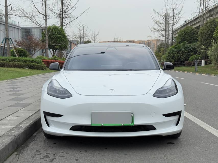 Tesla Model 3 2021 #2 Tesla Model 3 2021 car image #2