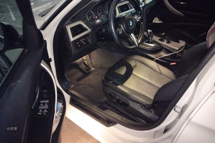 BMW 3 Series 2014 car image #18
