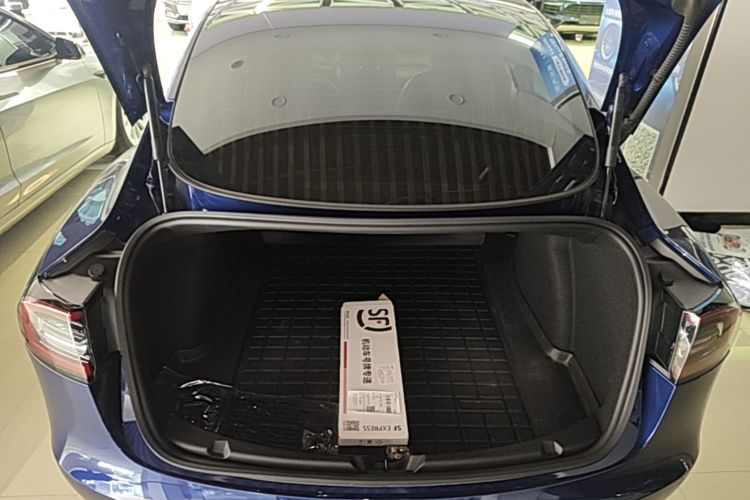 Tesla Model 3 2020 immagine di auto #19