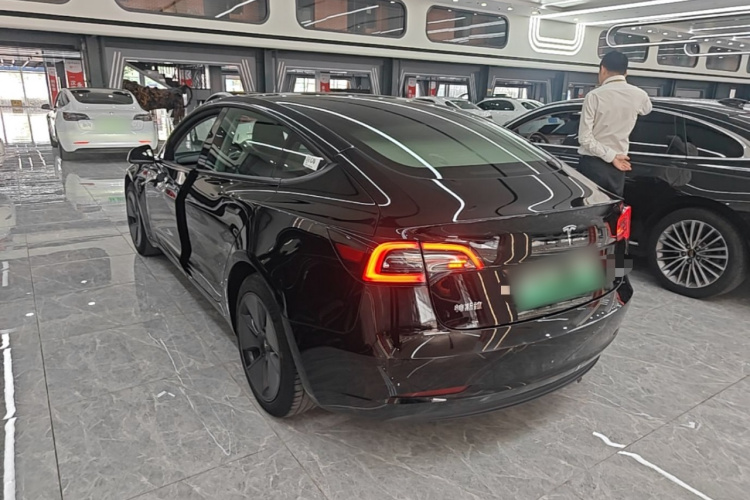 Tesla Model 3 2021 #5 Tesla Model 3 2021 immagine di auto #5