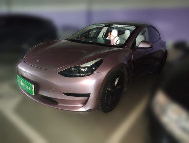 Tesla Model 3 2022 Tesla Model 3 2022 car image