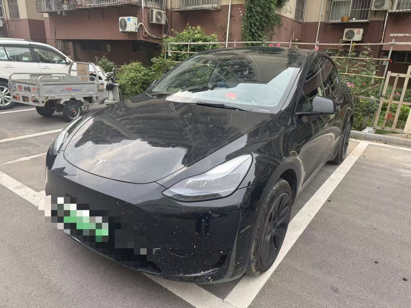 Tesla Model Y 2023 Tesla Model Y 2023 car image