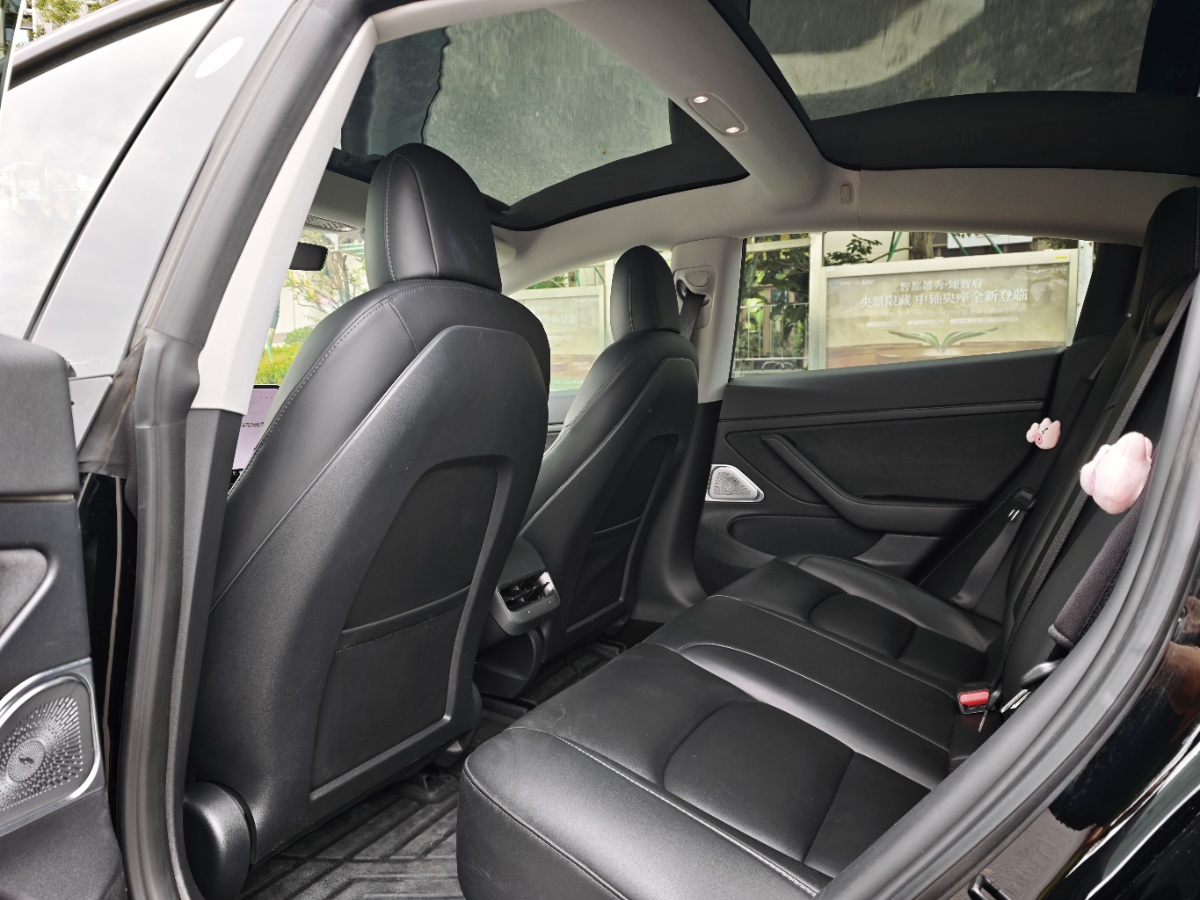 Tesla Model 3 2020 #6 Tesla Model 3 2020 car image #6