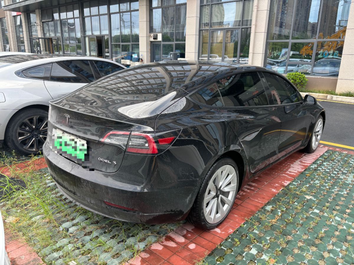 Tesla Model 3 2021 car image #8