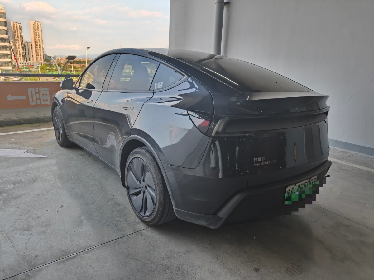 Tesla Model Y 2025 car image #4