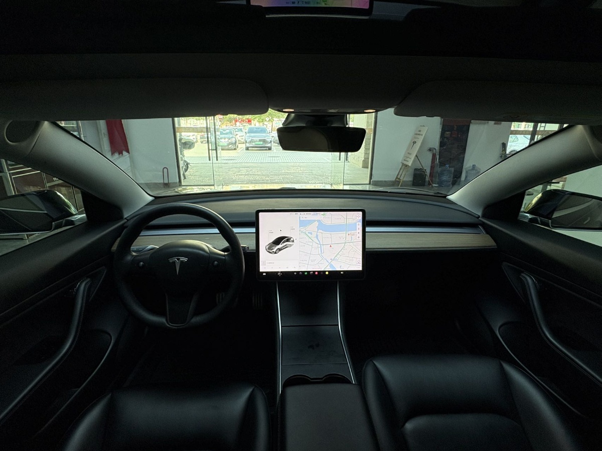 Tesla Model 3 2020 car image #6