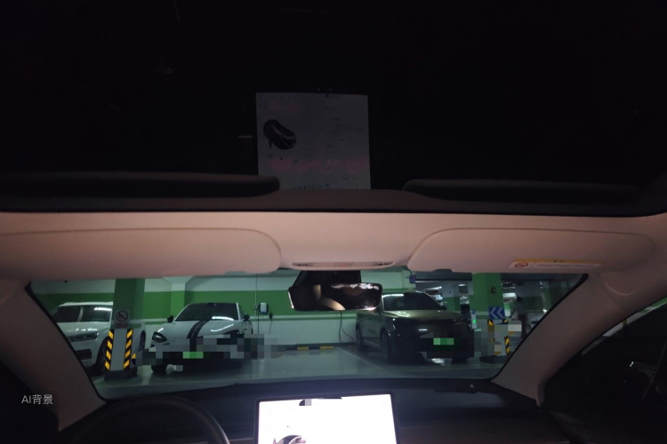 Tesla Model 3 2021 car image #20