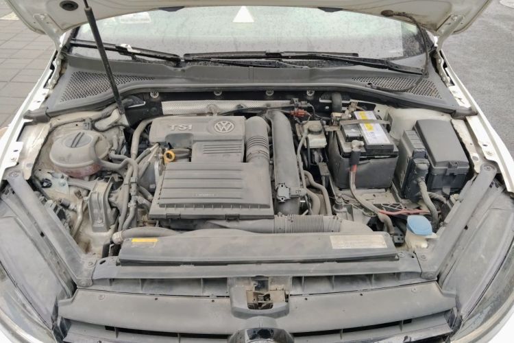 Volkswagen Golf 2018 car image #22