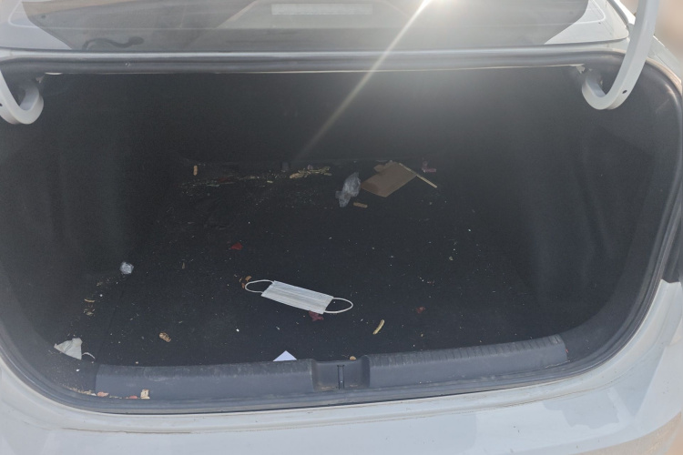 Volkswagen Lavida 2024 imagen de coche #17