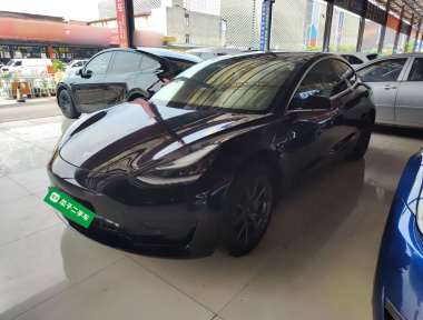 Tesla Model 3 2020 Tesla Model 3 2020 car image