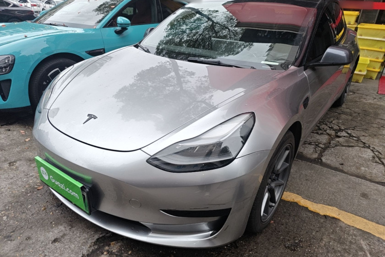 Tesla Model 3 2021 #2 Tesla Model 3 2021 car image #2