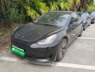 Tesla Model 3 2022 car image 