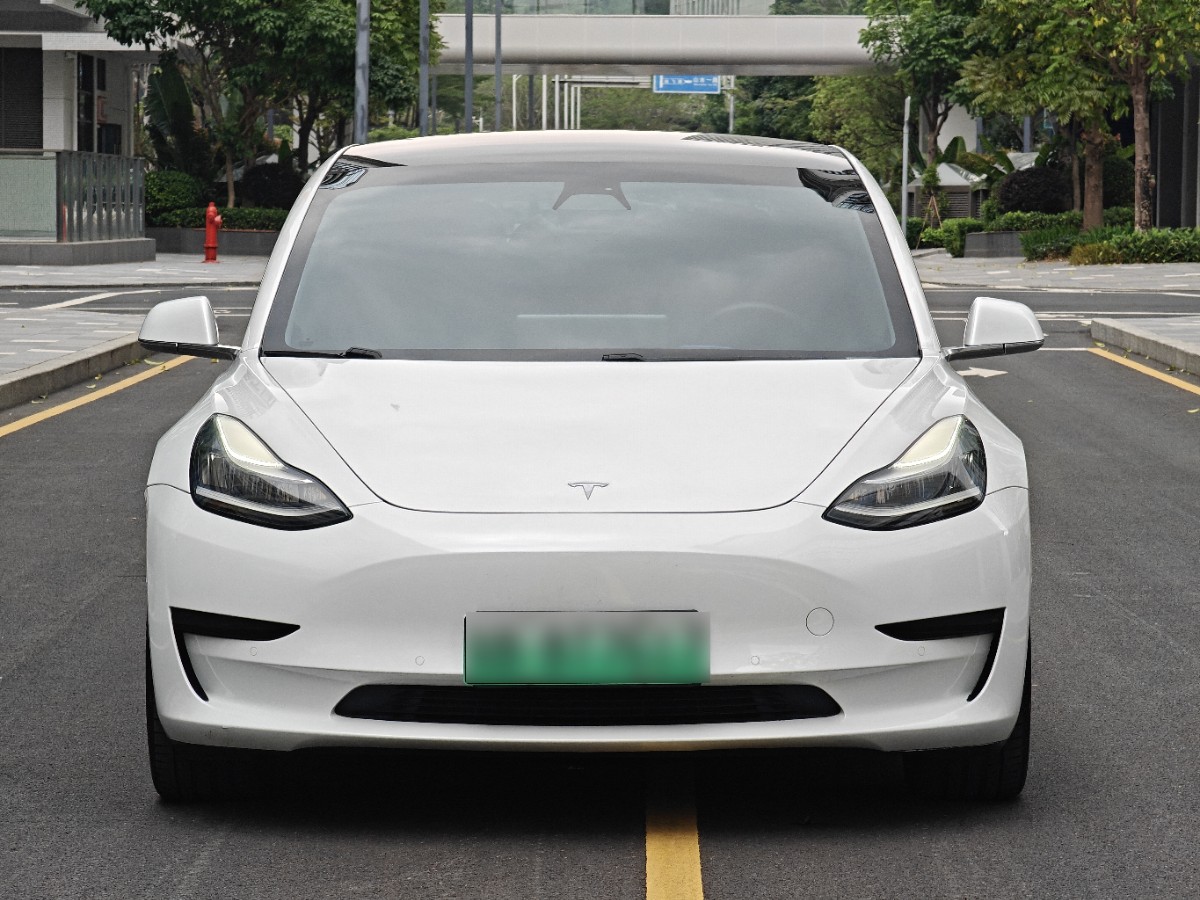 Tesla Model 3 2020 #2 Tesla Model 3 2020 car image #2