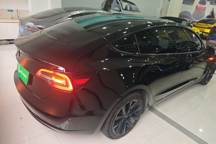 Tesla Model 3 2023 #5 Tesla Model 3 2023 car image #5