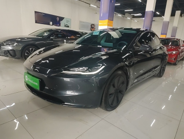 Tesla Model 3 2024 Tesla Model 3 2024 car image