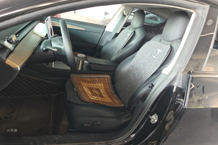 Tesla Model 3 2023 car image #17