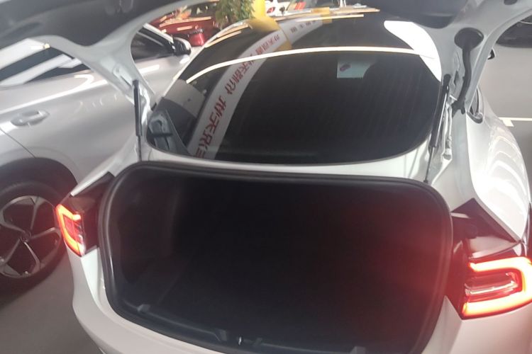 Tesla Model 3 2020 car image #19