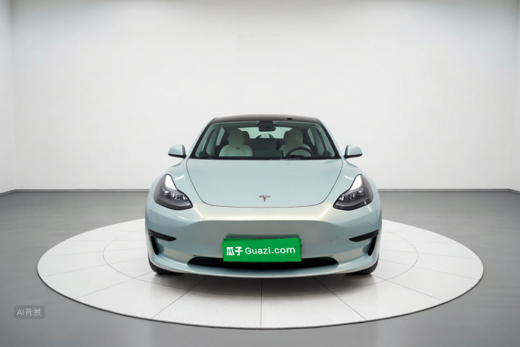 Tesla Model 3 2023 #3 Tesla Model 3 2023 car image #3