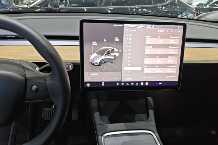 Tesla Model Y 2023 #13 Tesla Model Y 2023 car image #13