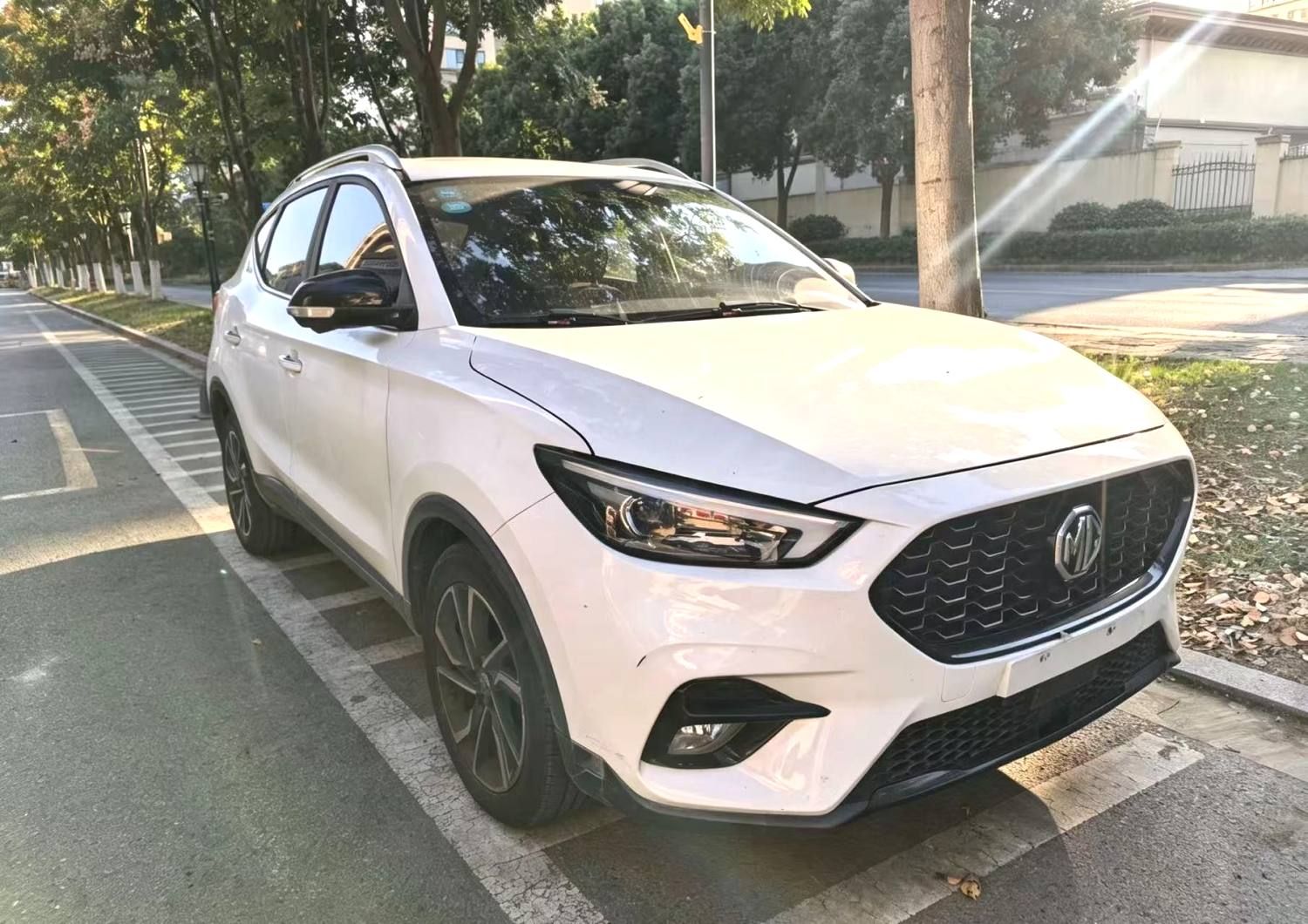MG ZS 2020 image de voiture #3