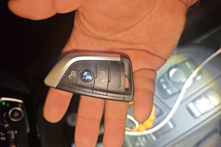 BMW X1 2016 car image #10